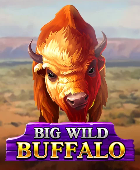 Play Big Wild Buffalo at Spin Samba Casino